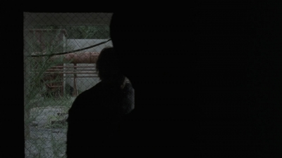 twd909_1858.jpg