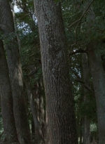 twd909_1161.jpg