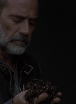 twd909_1736.jpg