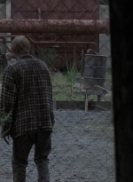 twd909_1806.jpg