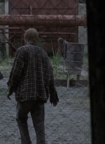 twd909_1807.jpg