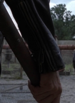 twd909_1813.jpg