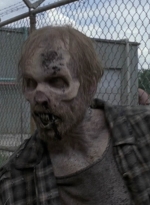 twd909_1849.jpg