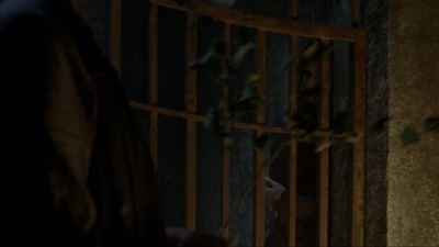 twd910_0981.jpg