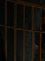 twd910_0992.jpg