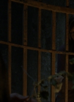 twd910_0993.jpg