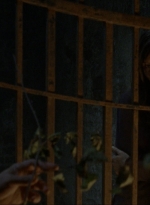 twd910_0995.jpg