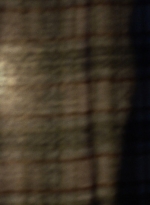 twd910_1124.jpg