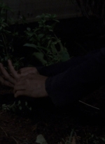 twd910_1719.jpg
