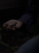 twd910_1722.jpg