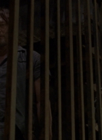 twd910_1981.jpg