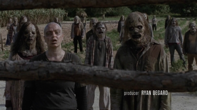 twd911_0492.jpg