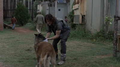 twd911_1125.jpg