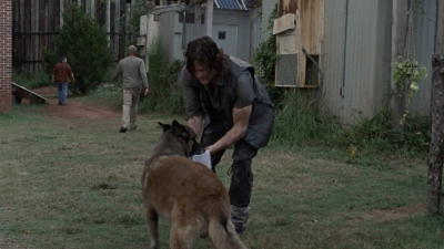 twd911_1126.jpg