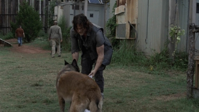 twd911_1127.jpg