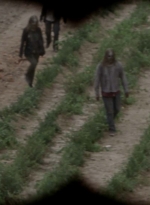 twd911_0364.jpg