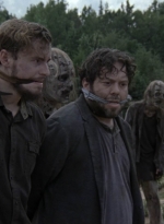 twd911_1075.jpg