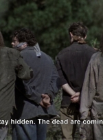 twd911_1082.jpg