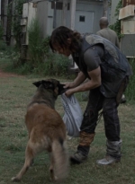 twd911_1123.jpg