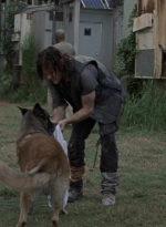 twd911_1124.jpg