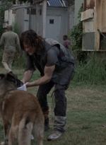 twd911_1125.jpg