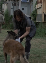 twd911_1126.jpg