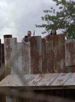 twd911_1253.jpg