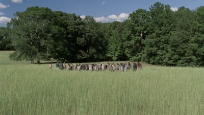 twd912_1010.jpg