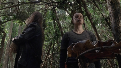 twd912_1955.jpg
