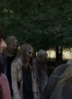 twd912_0937.jpg