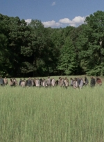 twd912_1010.jpg