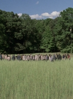 twd912_1012.jpg