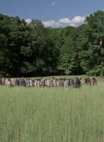 twd912_1014.jpg