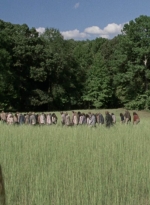 twd912_1015.jpg