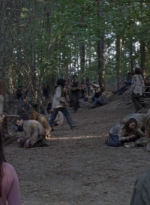 twd912_1050.jpg