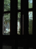 twd912_1299.jpg