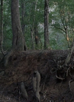 twd912_1307.jpg