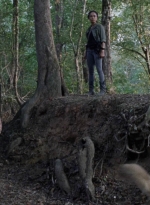 twd912_1373.jpg