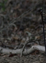 twd912_1378.jpg