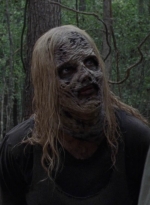 twd912_1434.jpg