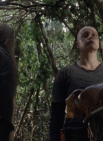 twd912_1955.jpg