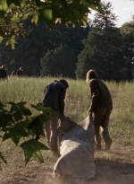 twd912_2091.jpg