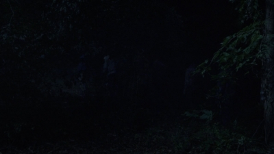twd913_0107.jpg