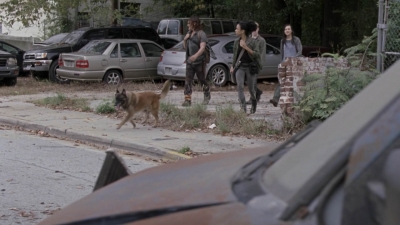 twd913_0509.jpg