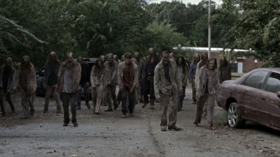 twd913_1584.jpg