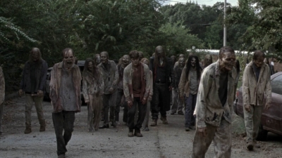 twd913_1590.jpg