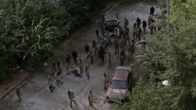 twd913_1609.jpg