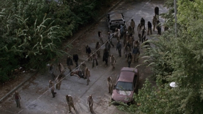 twd913_1610.jpg