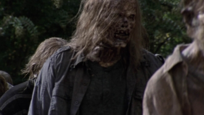 twd913_1617.jpg