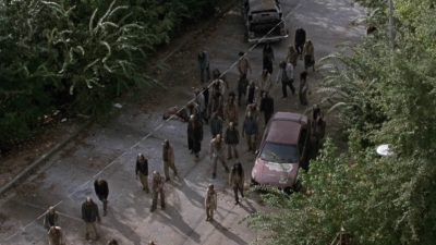 twd913_1629.jpg